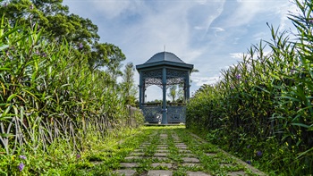 The Victoria Peak Garden was laid out at the beginning of the 20<sup>th</sup> Century and was the private garden of the Governor’s Mountain Lodge (since demolished). They were designed in classical European style of the time. These ornate Gazebos reflect this classical Victorian style, incorporating wrought iron lattice work and a curved dome roof.